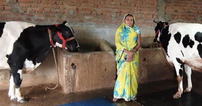  कृत्रिम गर्भाधान से बदली प्रेम कुमारी की तकदीर, डेयरी से हर माह ₹25 हजार की आय